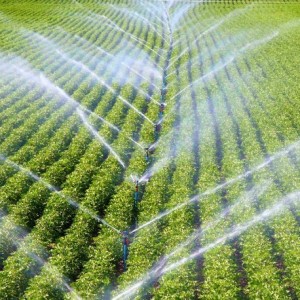 Irrigation Systems