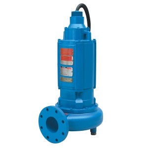 Sewage Pumps